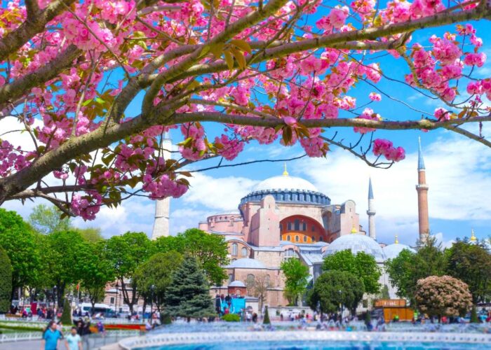 Why Choose DayToursIstanbul for Your Istanbul Adventure